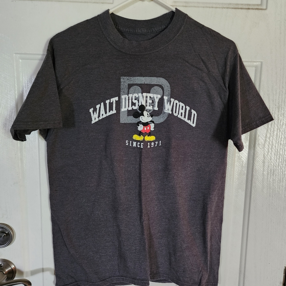 Disney Park t-shirt